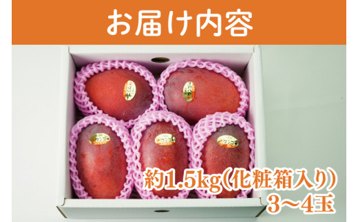 【2026年6月より順次発送】菜々色畑の赤秀アーウィンマンゴー 3～4玉(約1.5kg)【化粧箱】｜沖縄県 豊見城市 マンゴー アーウィンマンゴー フルーツ 果物 くだもの おきなわマンゴー ギフト 贈り物 化粧箱入り 先行予約(AE003)