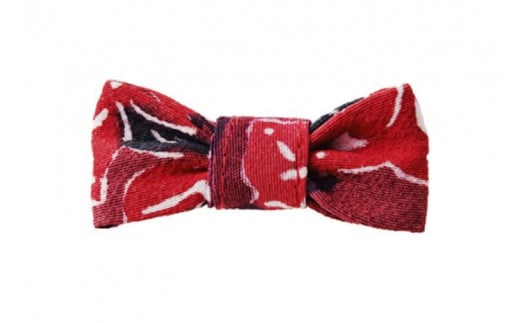 AT011　haberu ピンブローチ BOUGAINVILLEA／PIN BROOCH