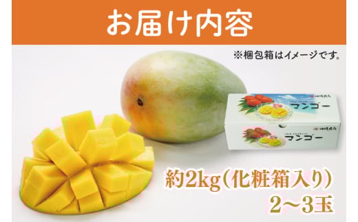 【2026年8月より順次発送】菜々色畑のキーツマンゴー 2～3玉(約2kg)【化粧箱】｜沖縄県 豊見城市 マンゴー キーツマンゴー フルーツ 果物 くだもの おきなわマンゴー 先行予約 ギフト 贈り物 化粧箱入り 先行予約(AE015)