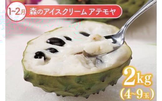 【6回定期便】豊見城 極上フルーツ定期便(全6回)｜フルーツ くだもの 果物 沖縄フルーツ マンゴー バナナ パッションフルーツ アテモヤ アップルマンゴー ドラゴンフルーツ キーツマンゴー 定期便 フルーツ定期便 沖縄県 豊見城市 人気 送料無料(AC023)