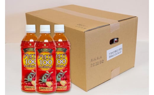 アセロラ100 ストレート100%ジュース(500ml×12本)｜アセロラ フルーツ 果物 くだもの アセロラジュース ジュース フルーツジュース ストレート 果汁 沖縄県 おきなわ 豊見城市(AD003)