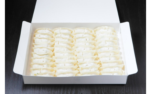 新琉流生餃子 計80個(20個入り×4パック)｜餃子 ぎょうざ ギョウザ 工場直売 国産 簡単 生餃子 生ぎょうざ おきなわ 沖縄 沖縄県 豊見城市 人気 送料無料(AY006)