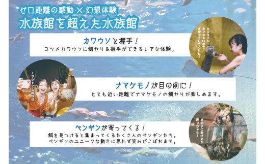 「DMMかりゆし水族館」入場券 中人1名(13～17歳)｜水族館 入場券 チケット 旅行 観光 沖縄旅行 沖縄 おきなわ 豊見城市(DG002)