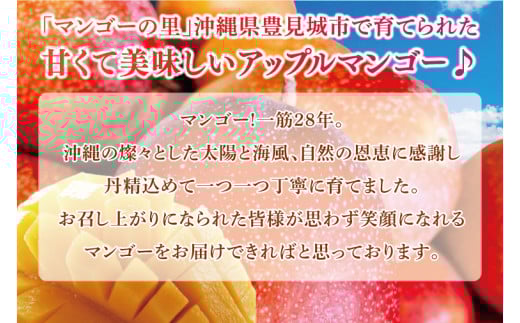 【2026年6月下旬より順次発送】マンゴーの里！豊見城市産♪あま?い♪アップルマンゴー 約2kg(3～6玉)(家庭用)｜マンゴー アップルマンゴー フルーツ 果物 くだもの 先行予約 沖縄 おきなわ 沖縄県 豊見城市 先行予約(BV007-1)