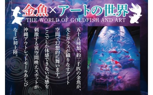 沖縄金魚ミュージアム入場券　大人1名｜観光 チケット 沖縄金魚ミュージアム 金魚 あしびなー 沖縄 豊見城（DN001）