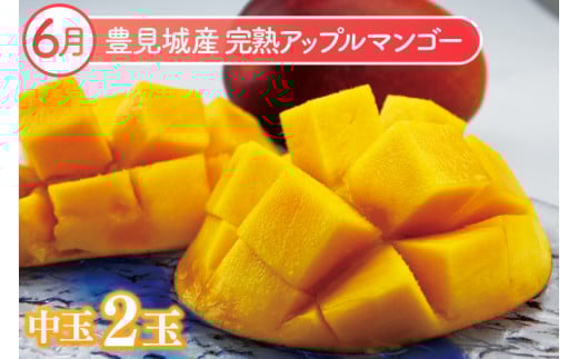 【2026年6月より順次発送】【6ヶ月定期便】沖縄フルーツ定期便(6～11月コース)｜フルーツ くだもの 果物 スターフルーツ マンゴー アップルマンゴー ミニマンゴー キーツマンゴー ドラゴンフルーツ バナナ 名護パイン園 定期便 フルーツ定期便 沖縄フルーツ おきなわ 沖縄県 豊見城市(AC019)