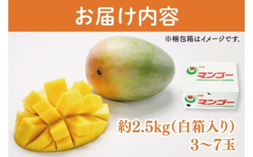 【2026年8月より順次発送】【訳あり】菜々色畑のキーツマンゴー 3～7玉(約2.5kg)【白箱】ご家庭用｜訳あり わけあり 訳アリ キーツマンゴー マンゴー キーツ フルーツ 果物 くだもの おきなわマンゴー 家庭用 沖縄県 豊見城市(AE017)