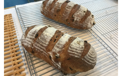 BB002　シンプルパンのぶどうパンノエル