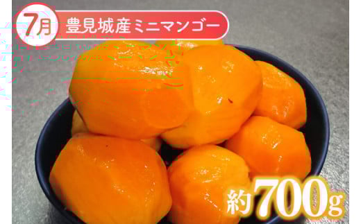 【2026年7月より順次発送】【3ヶ月定期便】沖縄フルーツ定期便(7・8・9月コース)｜フルーツ くだもの 果物 マンゴー キーツマンゴー ドラゴンフルーツ 名護パイン園 定期便 フルーツ定期便 先行予約 沖縄県 豊見城市(AC021)