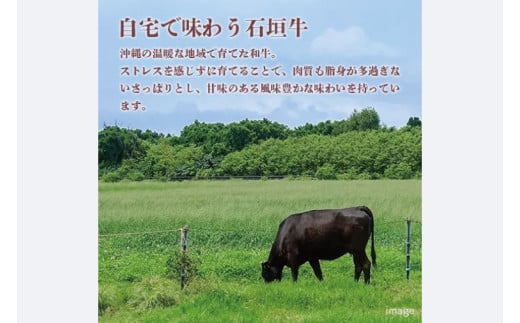 石垣牛ローススライス 計400g(約200g×2P) すき焼き・しゃぶしゃぶ用｜肉 お肉 にく 牛肉 ローススライス ロース すき焼き しゃぶしゃぶ 石垣牛 沖縄 沖縄県 豊見城市 送料無料 人気(AG029)