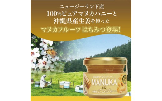 マヌカハニー＆沖縄県産ジンジャー 50g×2個｜はちみつ ハチミツ 蜂蜜 マヌカハニー ジンジャー 生姜 ビタミン お土産 ギフト プレゼント お祝い 人気 沖縄 沖縄県 豊見城市(DK006)