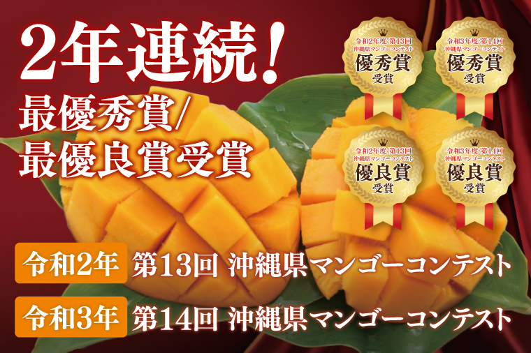 【2026年6月より順次発送】【訳あり】菜々色畑のアーウィンマンゴー 3～5玉(約2kg)【白箱】 ご家庭用｜マンゴー アーウィンマンゴー アーウィン フルーツ 果物 くだもの おきなわマンゴー おきなわ 沖縄県 豊見城市 家庭用(AE011)