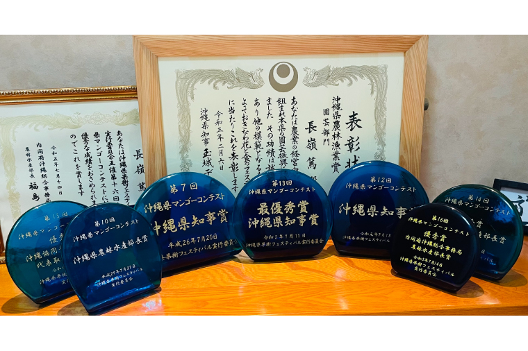 【2026年6月下旬より順次発送】★数量限定★沖縄県最優秀県知事賞に3度輝いた！★桐箱★沖縄マンゴー大玉 約1kg(約500g×2玉)｜マンゴー フルーツ 果物 くだもの 先行予約 贈り物 プレゼント お土産 ギフト 贈答用 沖縄 おきなわ 沖縄県 豊見城市(BV004)