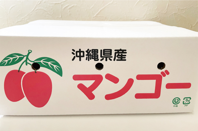 【2026年6月下旬より順次発送】マンゴーの里！豊見城市産♪あま〜い♪アップルマンゴー 約2kg(3～6玉)(家庭用)｜マンゴー アップルマンゴー フルーツ 果物 くだもの 先行予約 沖縄 おきなわ 沖縄県 豊見城市 先行予約(BV007-1)