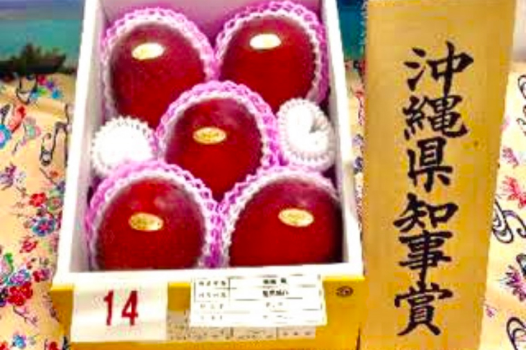【2026年6月下旬より順次発送】★数量限定★沖縄県最優秀県知事賞に3度輝いた! ★秀品★沖縄マンゴー約1kg(2〜3玉)｜マンゴー 果物 フルーツ くだもの 先行予約 沖縄 沖縄フルーツ 秀品 数量限定 沖縄県 沖縄県産 豊見城市(BV008-1)