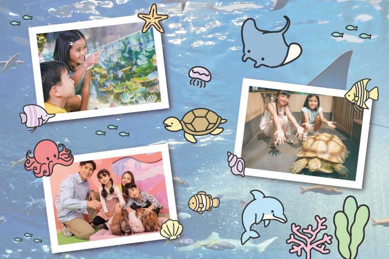 「DMMかりゆし水族館」入場券 大人1名(18歳以上)｜水族館 入場券 チケット 旅行 観光 沖縄旅行 沖縄 おきなわ 豊見城市(DG001)