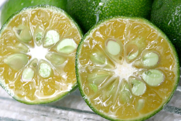 沖縄県産青切りシークヮーサー500ml 3本セット|シークヮーサー ジュース フルーツ フルーツジュース 果汁 調味料 沖縄 おきなわ 豊見城市(AD001-1)