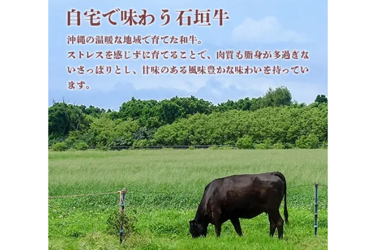 石垣牛 サーロインステーキ 400g（約200g×2）|肉 お肉 にく 牛肉 サーロイン 石垣牛 ステーキ  沖縄県 豊見城市（AG017）