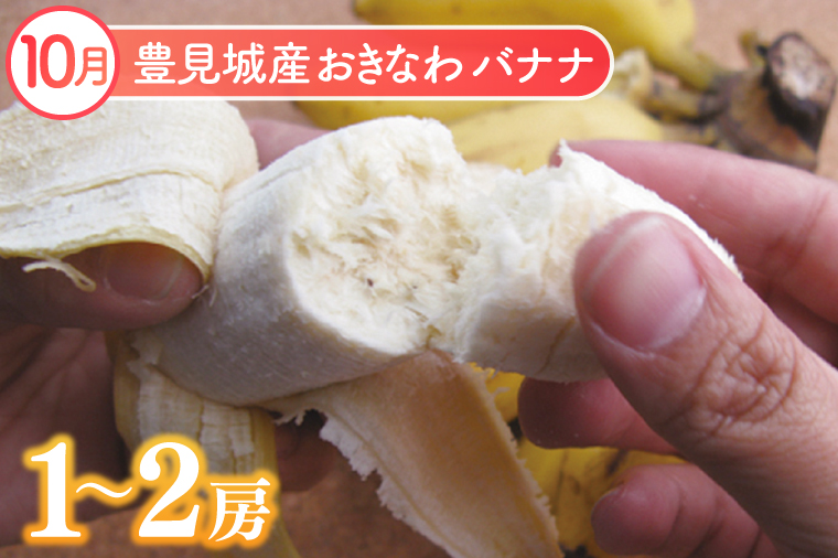 【2026年9月より順次発送】【3回定期便】沖縄フルーツ定期便（9・10・11月コース）｜フルーツ くだもの 果物 スターフルーツ ドラゴンフルーツ バナナ 名護パイン園 定期便 フルーツ定期便 沖縄フルーツ 先行予約 おきなわ 沖縄県 豊見城市(AC018)