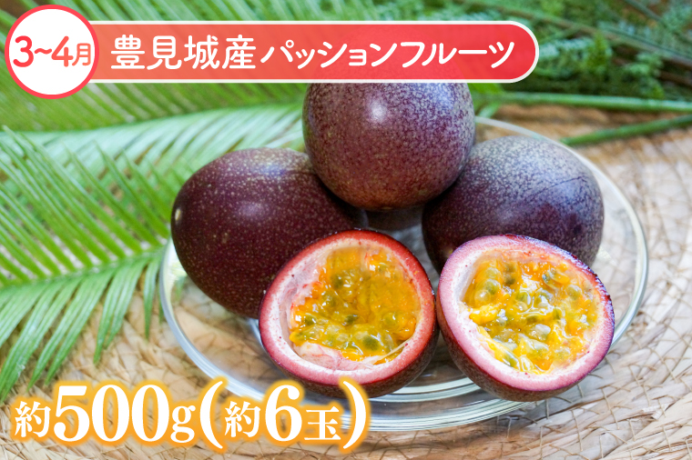 【6回定期便】人気！沖縄フルーツ定期便(年6回)｜フルーツ 果物 くだもの マンゴー キーツマンゴー アップルマンゴー パッションフルーツ スターフルーツ ドラゴンフルーツ バナナ 完熟 沖縄フルーツ 沖縄 沖縄県 豊見城市 人気 名護パイン園 定期便 送料無料(AC020)