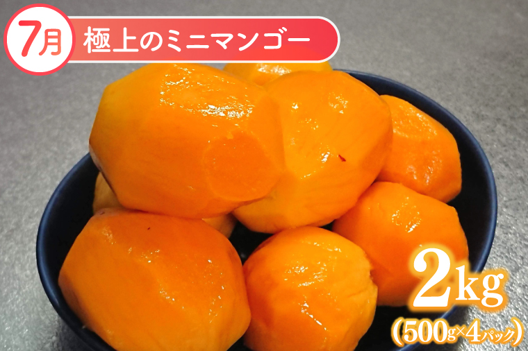 【2026年6月より順次発送】【3ヶ月定期便】豊見城 極上フルーツ定期便(6・7・8月コース)｜フルーツ くだもの 果物 マンゴー アップルマンゴー キーツマンゴー 名護パイン園 定期便 フルーツ定期便 先行予約 沖縄県 豊見城市(AC022)