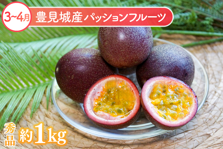 【6回定期便】豊見城 極上フルーツ定期便(全6回)｜フルーツ くだもの 果物 沖縄フルーツ マンゴー バナナ パッションフルーツ アテモヤ アップルマンゴー ドラゴンフルーツ キーツマンゴー 定期便 フルーツ定期便 沖縄県 豊見城市 人気 送料無料(AC023)