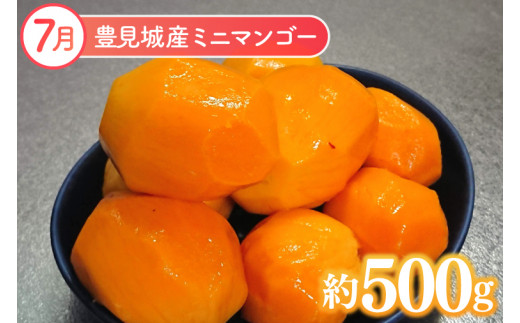 【2026年6月より順次発送】【6ヶ月定期便】沖縄フルーツ定期便(6～11月コース)｜フルーツ くだもの 果物 スターフルーツ マンゴー アップルマンゴー ミニマンゴー キーツマンゴー ドラゴンフルーツ バナナ 名護パイン園 定期便 フルーツ定期便 沖縄フルーツ おきなわ 沖縄県 豊見城市(AC019)