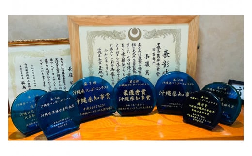 【2026年6月下旬より順次発送】★数量限定★沖縄県最優秀県知事賞に3度輝いた！★桐箱★沖縄マンゴー大玉 約1kg(約500g×2玉)｜マンゴー フルーツ 果物 くだもの 先行予約 贈り物 プレゼント お土産 ギフト 贈答用 沖縄 おきなわ 沖縄県 豊見城市(BV004)