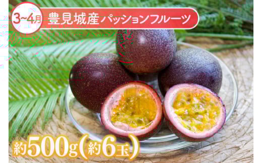 【6回定期便】人気！沖縄フルーツ定期便(年6回)｜フルーツ 果物 くだもの マンゴー キーツマンゴー アップルマンゴー パッションフルーツ スターフルーツ ドラゴンフルーツ バナナ 完熟 沖縄フルーツ 沖縄 沖縄県 豊見城市 人気 名護パイン園 定期便 送料無料(AC020)