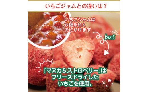 マヌカハニー＆沖縄県産ストロベリー 50g×2個｜はちみつ ハチミツ 蜂蜜 マヌカハニー いちご イチゴ 苺 ストロベリー ビタミン お土産 ギフト プレゼント お祝い 人気 沖縄 沖縄県 豊見城市(DK007)