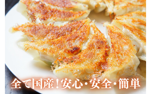 新琉流生餃子 計80個(20個入り×4パック)｜餃子 ぎょうざ ギョウザ 工場直売 国産 簡単 生餃子 生ぎょうざ おきなわ 沖縄 沖縄県 豊見城市 人気 送料無料(AY006)