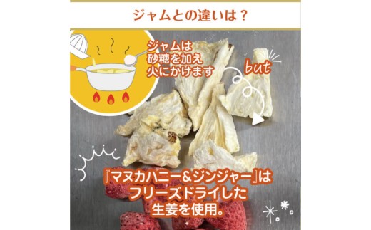マヌカハニー＆沖縄県産ジンジャー 50g×2個｜はちみつ ハチミツ 蜂蜜 マヌカハニー ジンジャー 生姜 ビタミン お土産 ギフト プレゼント お祝い 人気 沖縄 沖縄県 豊見城市(DK006)