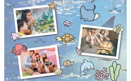 「DMMかりゆし水族館」入場券 中人1名(13～17歳)｜水族館 入場券 チケット 旅行 観光 沖縄旅行 沖縄 おきなわ 豊見城市(DG002)