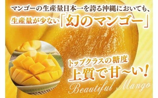 【2026年8月より順次発送】菜々色畑のキーツマンゴー 1～2玉(約900g)【化粧箱】｜マンゴー キーツマンゴー フルーツ 果物 くだもの おきなわマンゴー 先行予約 ギフト 贈り物 化粧箱入り 沖縄県 豊見城市 送料無料(AE014)