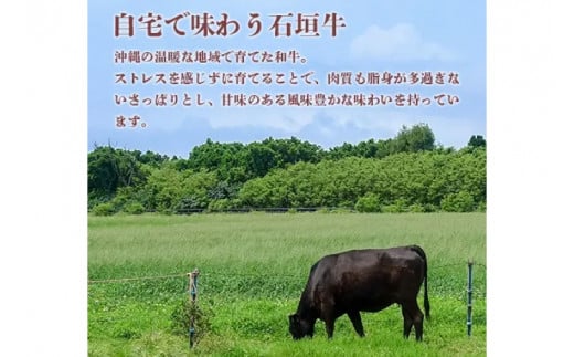石垣牛 サーロインステーキ 400g（約200g×2）|肉 お肉 にく 牛肉 サーロイン 石垣牛 ステーキ  沖縄県 豊見城市（AG017）