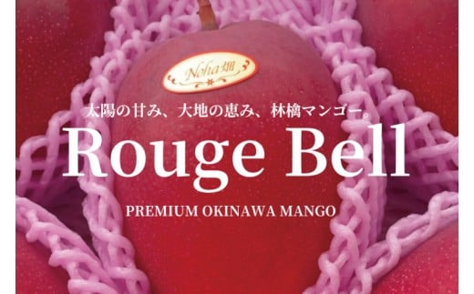 【2026年6月下旬より順次発送】【Rouge Bell】アップルマンゴー 約800g以上(2玉)｜マンゴー アップルマンゴー フルーツ 果物 くだもの 先行予約 贈り物 プレゼント お土産 ギフト 贈答用 沖縄 おきなわ 沖縄県 豊見城市(BV011)