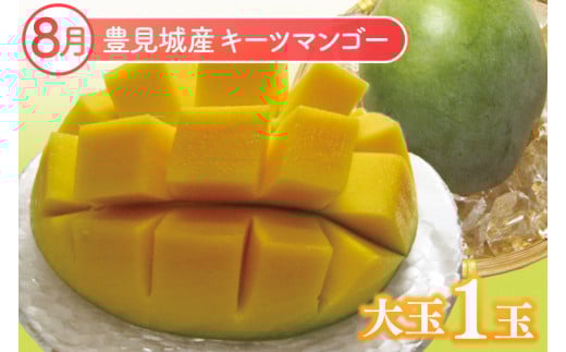 【2026年7月より順次発送】【3ヶ月定期便】沖縄フルーツ定期便(7・8・9月コース)｜フルーツ くだもの 果物 マンゴー キーツマンゴー ドラゴンフルーツ 名護パイン園 定期便 フルーツ定期便 先行予約 沖縄県 豊見城市(AC021)