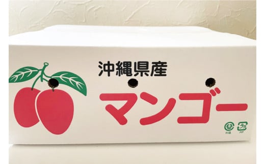 【2026年6月下旬より順次発送】マンゴーの里！豊見城市産♪あま?い♪アップルマンゴー 約2kg(3～6玉)(家庭用)｜マンゴー アップルマンゴー フルーツ 果物 くだもの 先行予約 沖縄 おきなわ 沖縄県 豊見城市 先行予約(BV007-1)