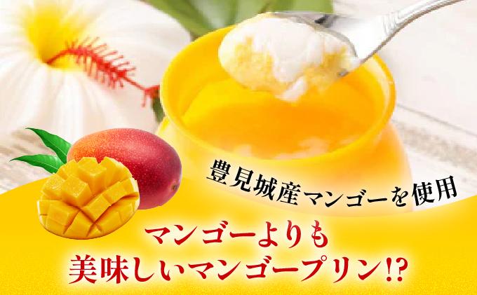 とろなまマンゴープリン(100g×6個入り) AC016-1