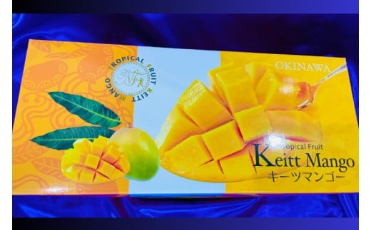 【2026年8月より順次発送】稀少プレミアム！！豊見城市産キーツマンゴー 約1.5kg(2?3玉)｜マンゴー キーツマンゴー フルーツ 果物 くだもの 先行予約 沖縄 おきなわ 沖縄県 豊見城市(BV001-1)