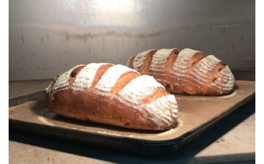 BB002　シンプルパンのぶどうパンノエル