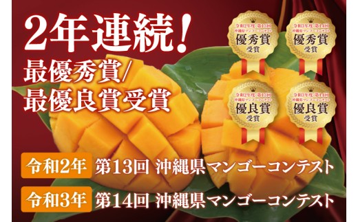 【2026年6月より順次発送】【訳あり】菜々色畑のアーウィンマンゴー 3～6玉(約1.5kg)【白箱】 ご家庭用｜マンゴー アーウィンマンゴー アーウィン フルーツ 果物 くだもの おきなわマンゴー おきなわ 沖縄県 豊見城市 家庭用(AE012)