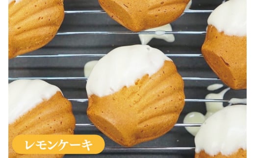 BN001-1　【ペストリーうんてん】おきなわケーキのセット 8個入り×2