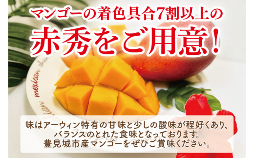 【2026年6月より順次発送】菜々色畑の赤秀アーウィンマンゴー 3～4玉(約1.5kg)【化粧箱】｜沖縄県 豊見城市 マンゴー アーウィンマンゴー フルーツ 果物 くだもの おきなわマンゴー ギフト 贈り物 化粧箱入り 先行予約(AE003)