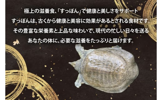 【生きたまま直送】活きすっぽん  1匹  800g～900g｜すっぽん スッポン 養殖 コラーゲン コラーゲンたっぷり 低カロリー 美容 健康 １匹 送料無料 豊見城市産 沖縄県(CS001)
