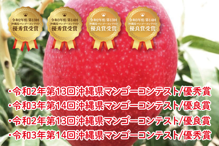 【2026年6月より順次発送】菜々色畑の赤秀アーウィンマンゴー 3～5玉(約2kg)【化粧箱】｜沖縄県 豊見城市 マンゴー アーウィンマンゴー フルーツ 果物 くだもの おきなわマンゴー ギフト 贈り物 化粧箱入り 先行予約(AE004)