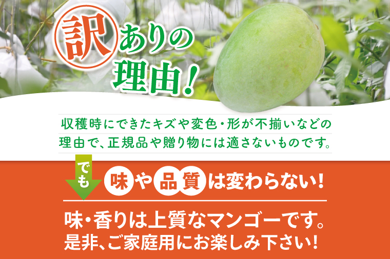 【2026年6月より順次発送】【訳あり】菜々色畑のアーウィンマンゴー 3～5玉(約2kg)【白箱】 ご家庭用｜マンゴー アーウィンマンゴー アーウィン フルーツ 果物 くだもの おきなわマンゴー おきなわ 沖縄県 豊見城市 家庭用(AE011)