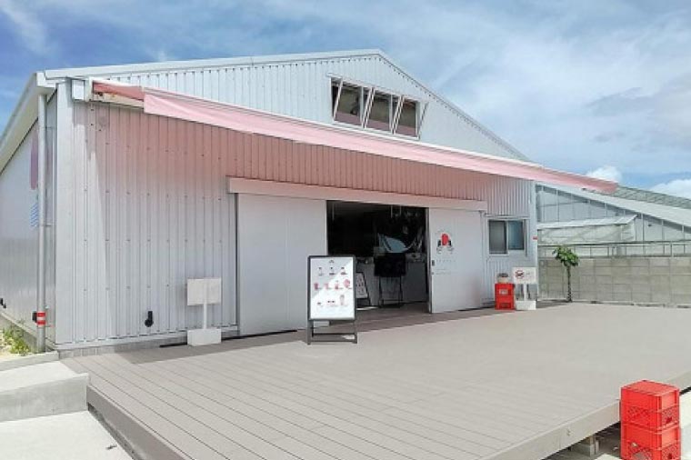 ごろっとイチゴとなめらかプリン&ごろっとイチゴとレアチーズセット｜プリン ぷりん ケーキ スイーツ デザート イチゴ いちご 苺 レアチーズケーキ チーズケーキ プレゼント ギフト 贈り物 人気 沖縄 沖縄県 豊見城市(AX002-1)