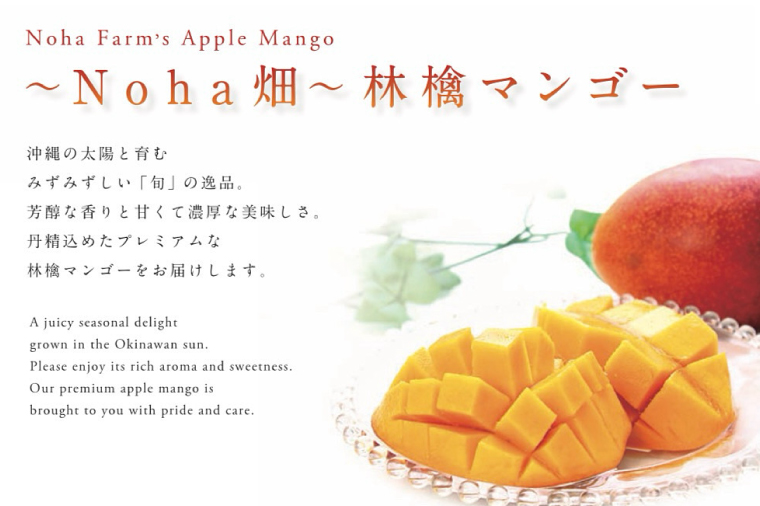 【2026年6月下旬より順次発送】★数量限定★沖縄県最優秀県知事賞に3度輝いた! ★秀品★沖縄マンゴー約1kg(2〜3玉)｜マンゴー 果物 フルーツ くだもの 先行予約 沖縄 沖縄フルーツ 秀品 数量限定 沖縄県 沖縄県産 豊見城市(BV008-1)