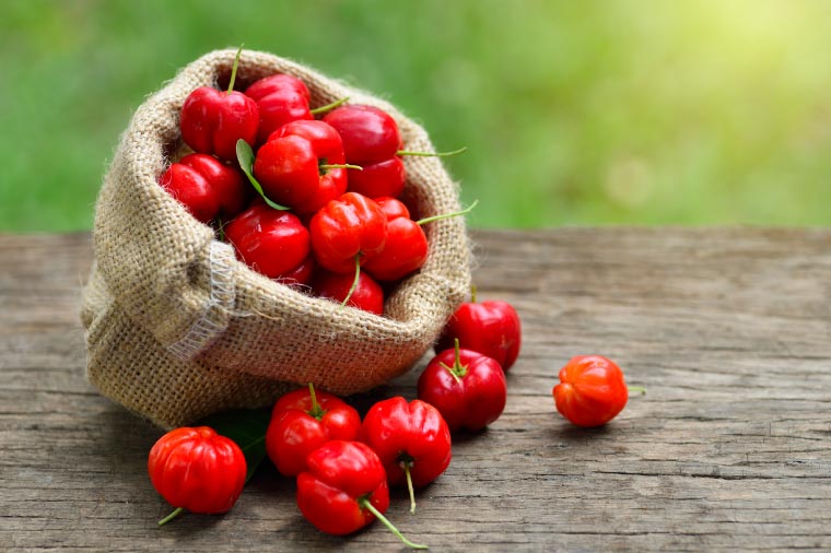 アセロラ100 ストレート100%ジュース(500ml×12本)｜アセロラ フルーツ 果物 くだもの アセロラジュース ジュース フルーツジュース ストレート 果汁 沖縄県 おきなわ 豊見城市(AD003)